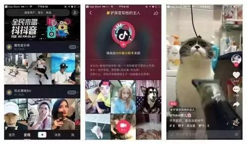 91抖音直播免费看nbaapp